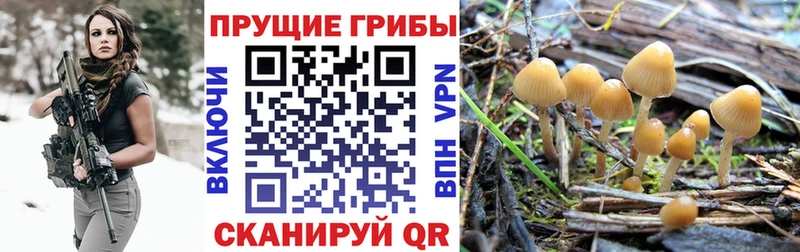 Псилоцибиновые грибы MAGIC MUSHROOMS Тбилисская